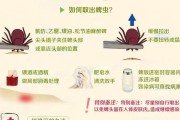 蜱虫的寿命之谜（揭秘蜱虫生命的定时炸弹，）