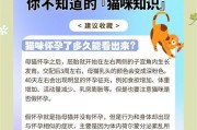 猫的繁殖周期及再次怀孕时间（揭秘猫咪的生育规律，了解再次孕育的最佳时机）