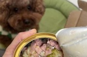 狗狗吃罐头会变得挑食的原因与解决方法（了解罐头食物的影响和如何帮助狗狗摆脱挑食习惯）
