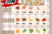 猫咪的饮食习惯（探究猫咪以牛肉为主食的饮食频率）