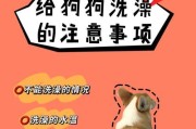 狗狗打完育苗后多久可以洗澡？（了解狗狗打完育苗后的洗澡时间及注意事项）
