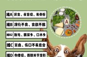 狗的主食之道（探索狗狗饮食，了解它们能吃什么）