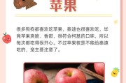 用食物训练泰迪，提高训练效果（选择合适的食物，为泰迪训练加分）