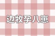 边牧怀孕多久能见肚子？（了解边牧怀孕的迹象及变化）