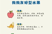 狗狗的水果摄入频率及注意事项（科学喂食，宠物健康）