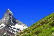 恩特雷布赫山地犬的饲养方法（营养、锻炼和训练都不能少）